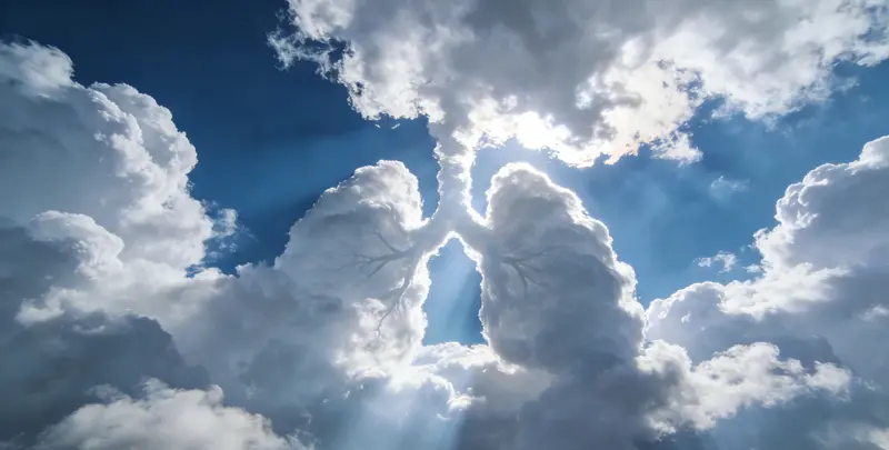 通化肺癌13基因突变检测（组织）图片1